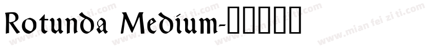 Rotunda Medium字体转换